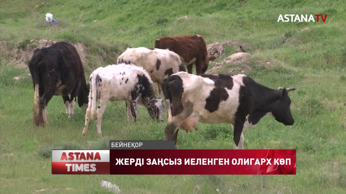 "Жерді заңсыз иеленген олигарх көп",- М.Бәшімов