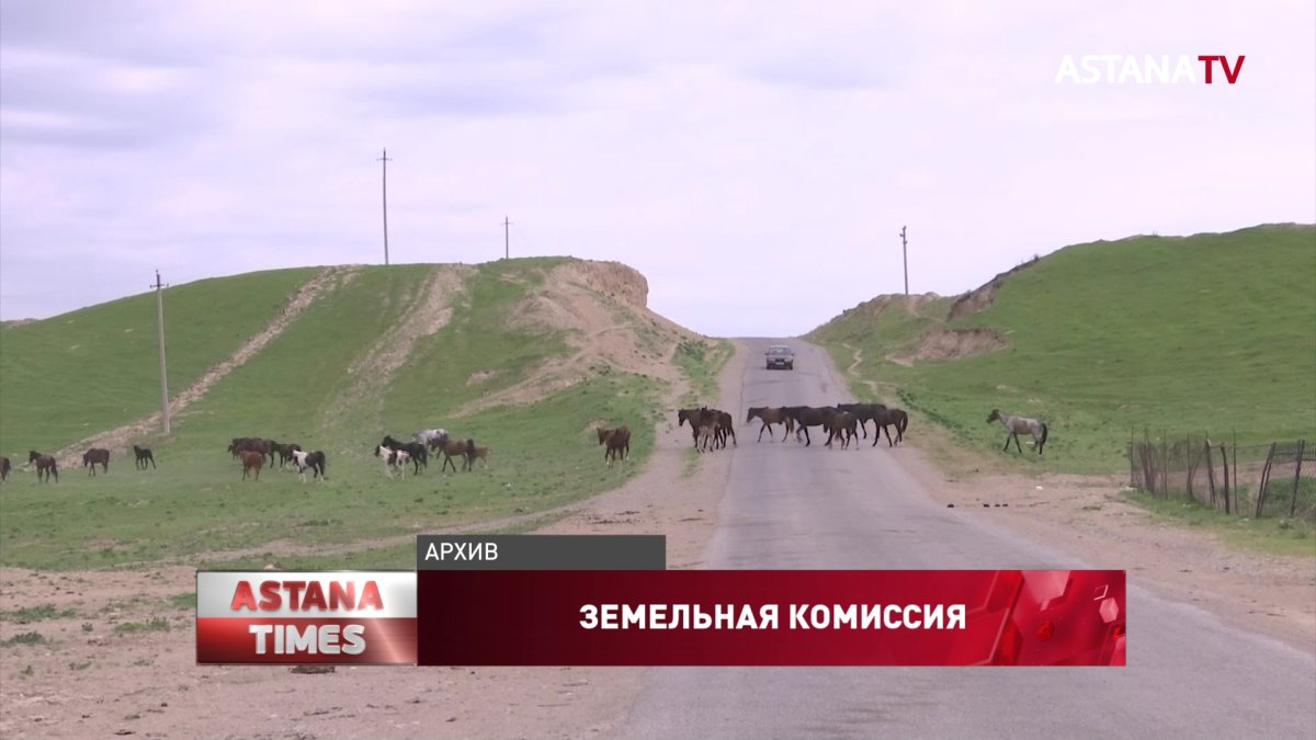 Аким района ВКО хотел завладеть 80 га земли и открыть свиноферму