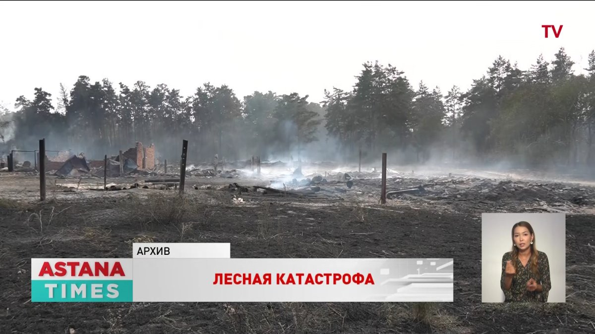 С музеем советской техники сравнили материальную базу лесных учреждений депутаты Мажилиса