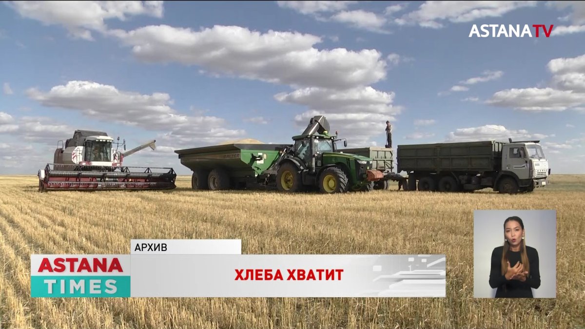 Казахстан в этом году полностью обеспечил себя хлебом, - Смаилов