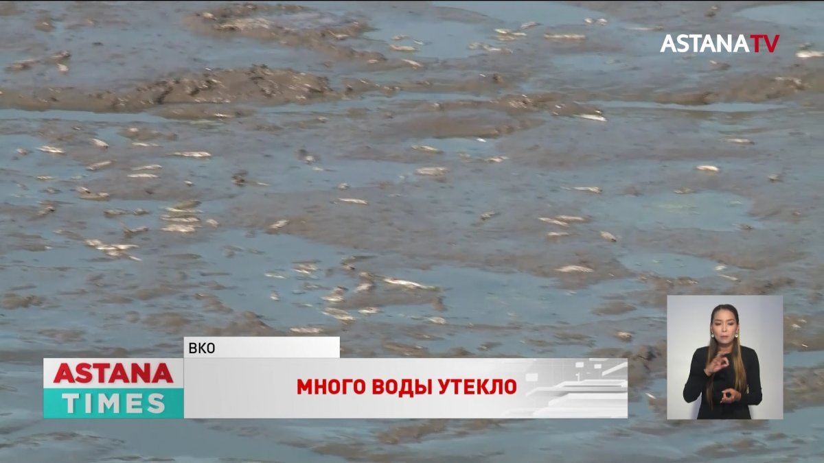 Водоём обмелел из-за разворованной дамбы на Востоке страны