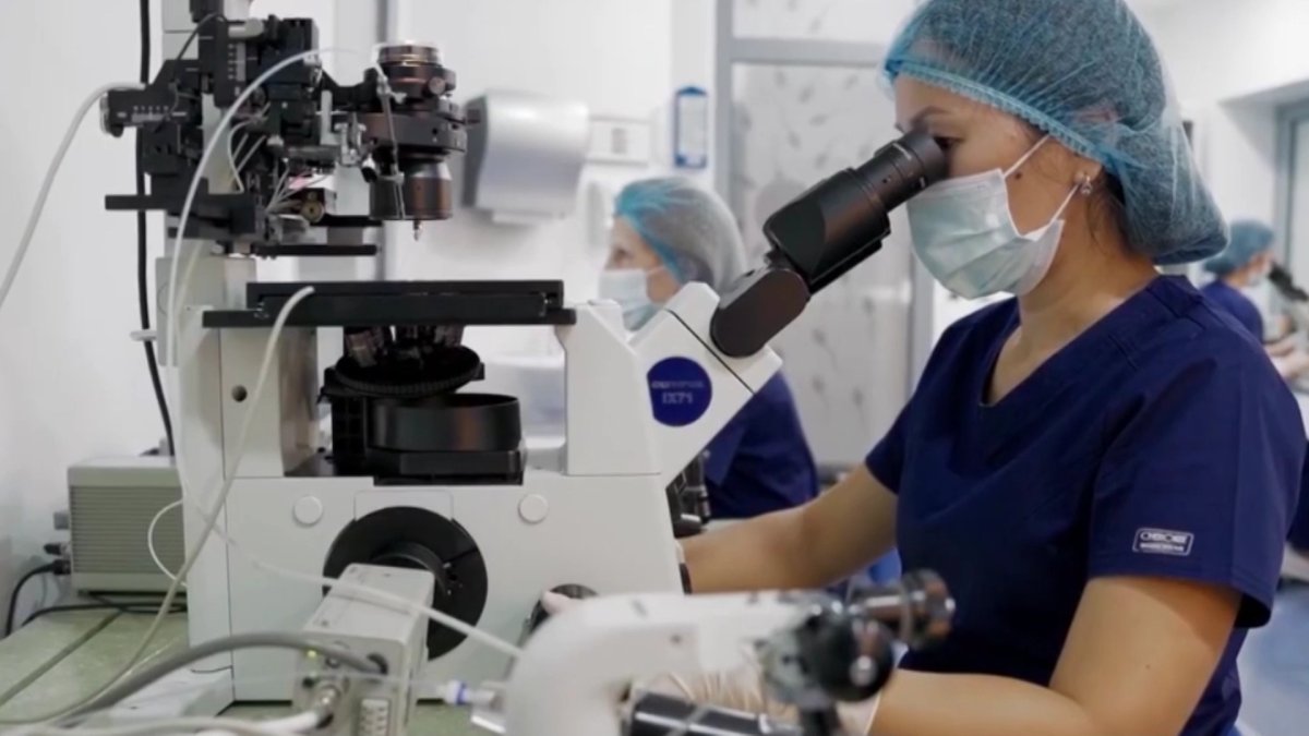 Елімізде жасанды ұрықтандыруға 7000 квота бөлінді