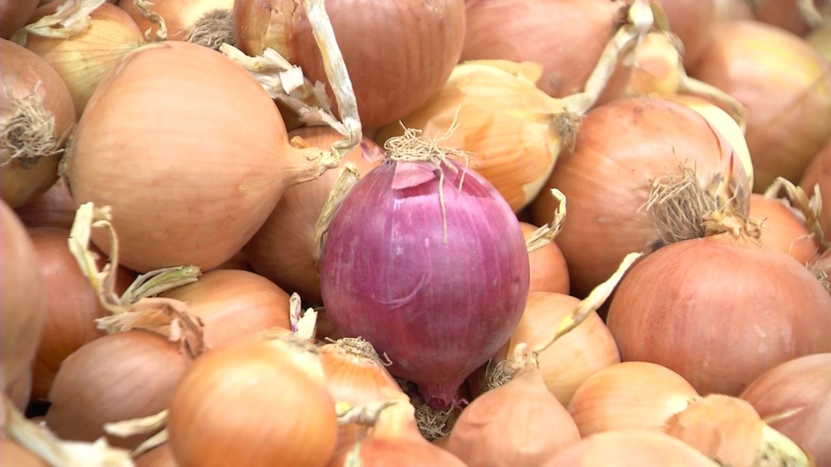 Пияз экспортына не себепті шектеу қойылды?