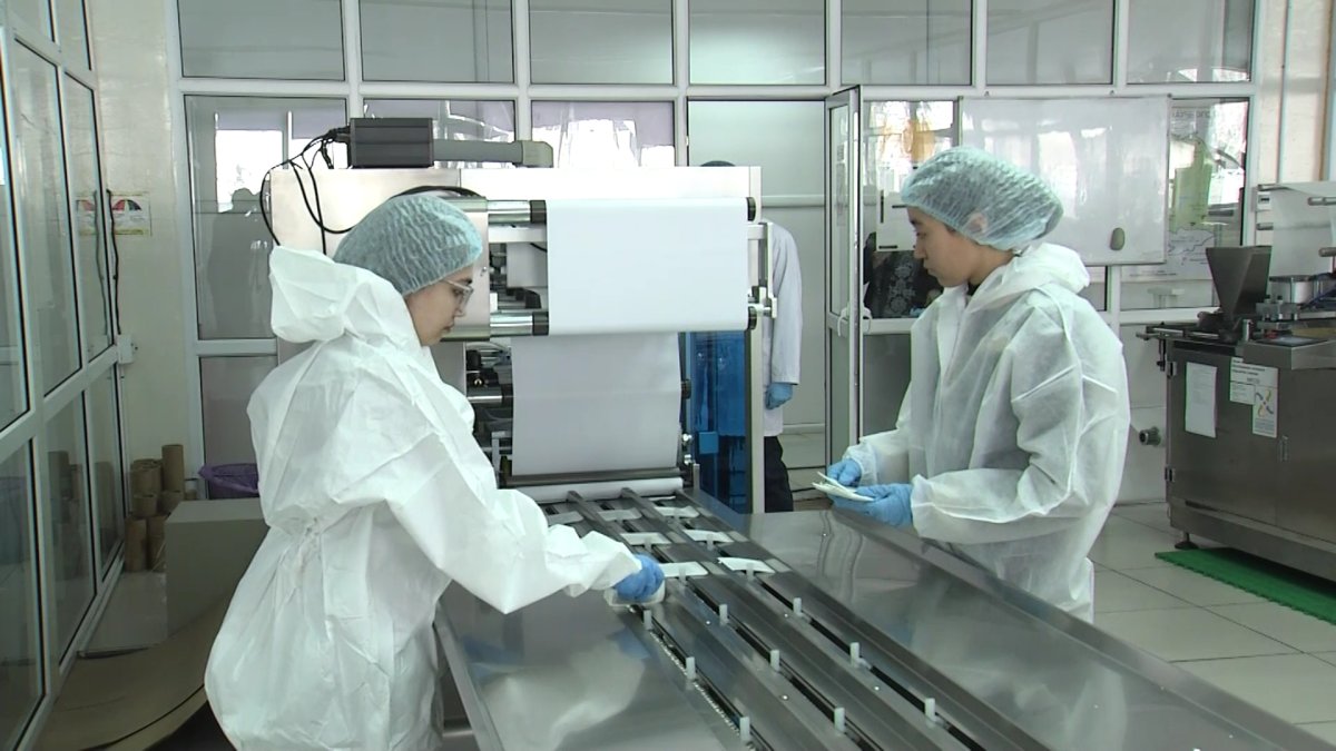 Қазақстандық ғалымдар күріш қауызынан медициналық таңғыш жасап шығарды