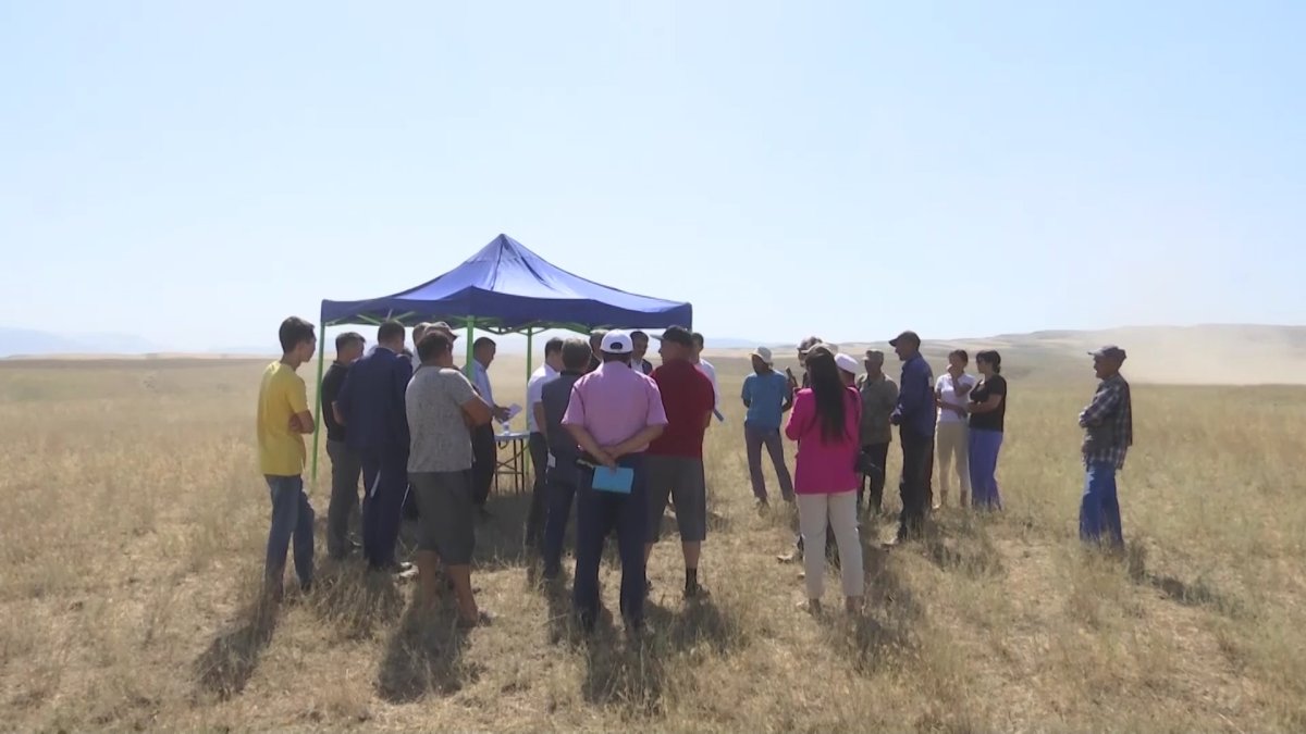 Мемлекет меншігіне қайтарылған жер учаскелеріне мониторинг жүргізіледі