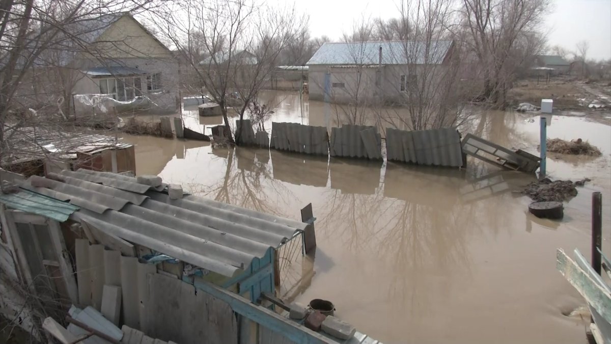 Паводки-2023: стоит ли бояться?