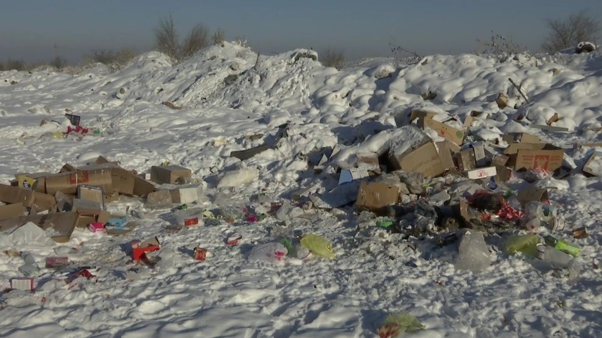 «В Казахстане назревает экологическая катастрофа», - члены партии ...