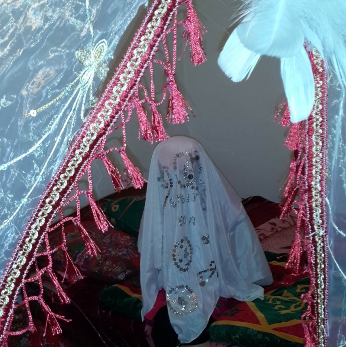 Түркістан облысының тұрғыны 15 жастағы мектеп оқушысын үйлену үшін 600 мың теңгеге сатып алған