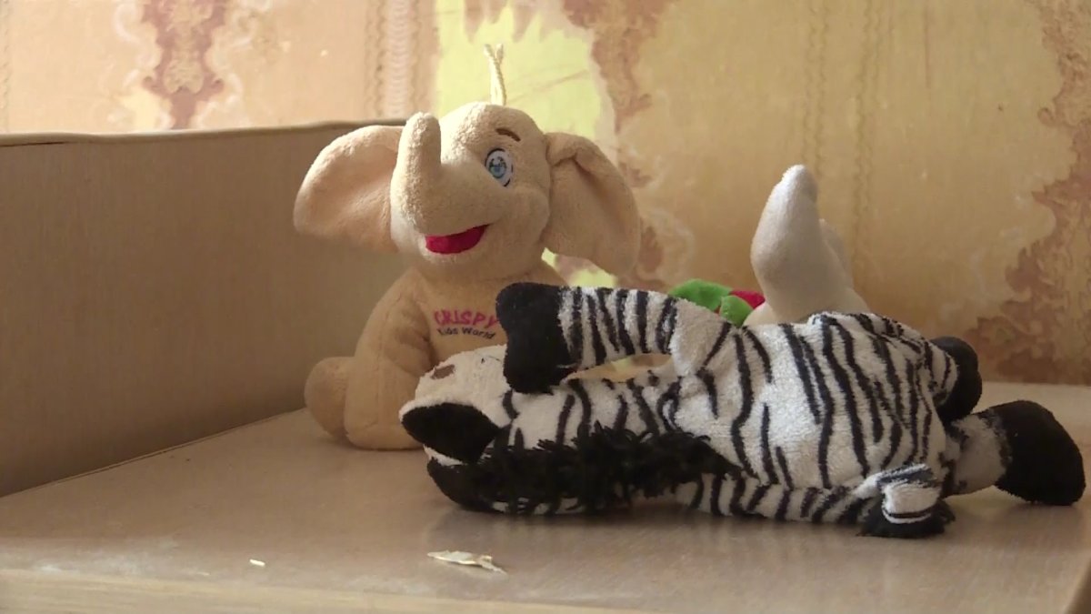 Загадочная смерть в степи: полиция закрыло дело о гибели матери и ребёнка в Карагандинской области