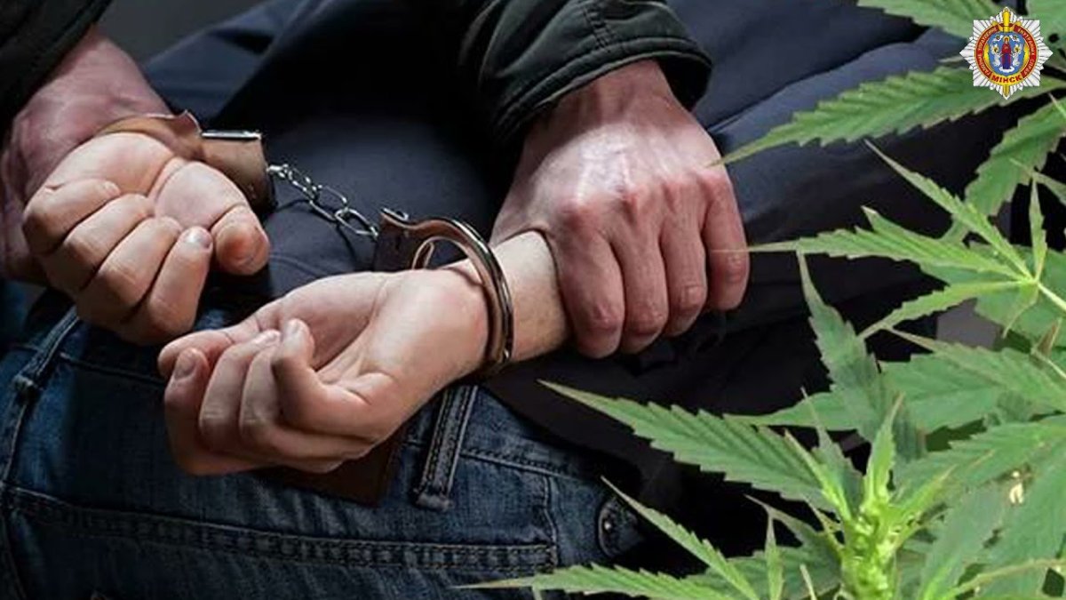 Задержана преступная группа, поставлявшая наркотики в столицу