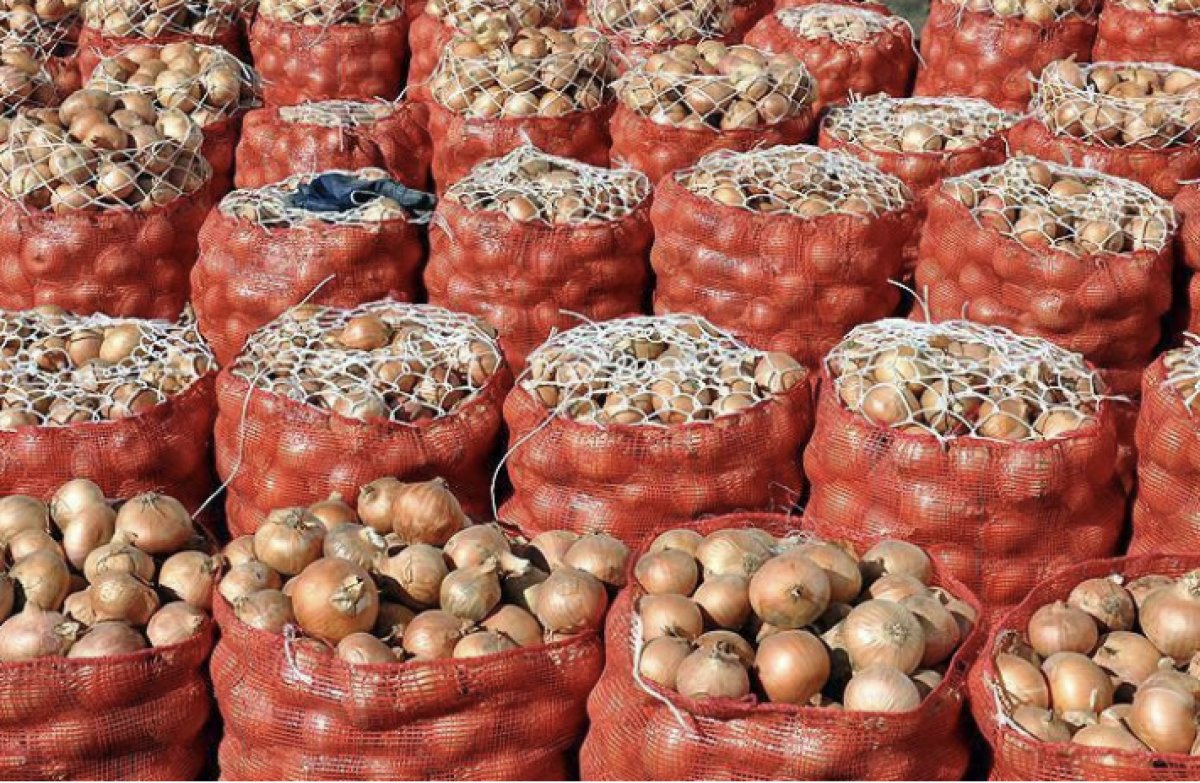 Кыргызстан вслед за Казахстаном планирует запретить экспорт лука