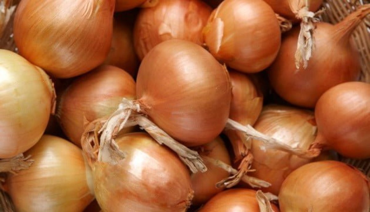 Таджикистан запретил экспорт лука