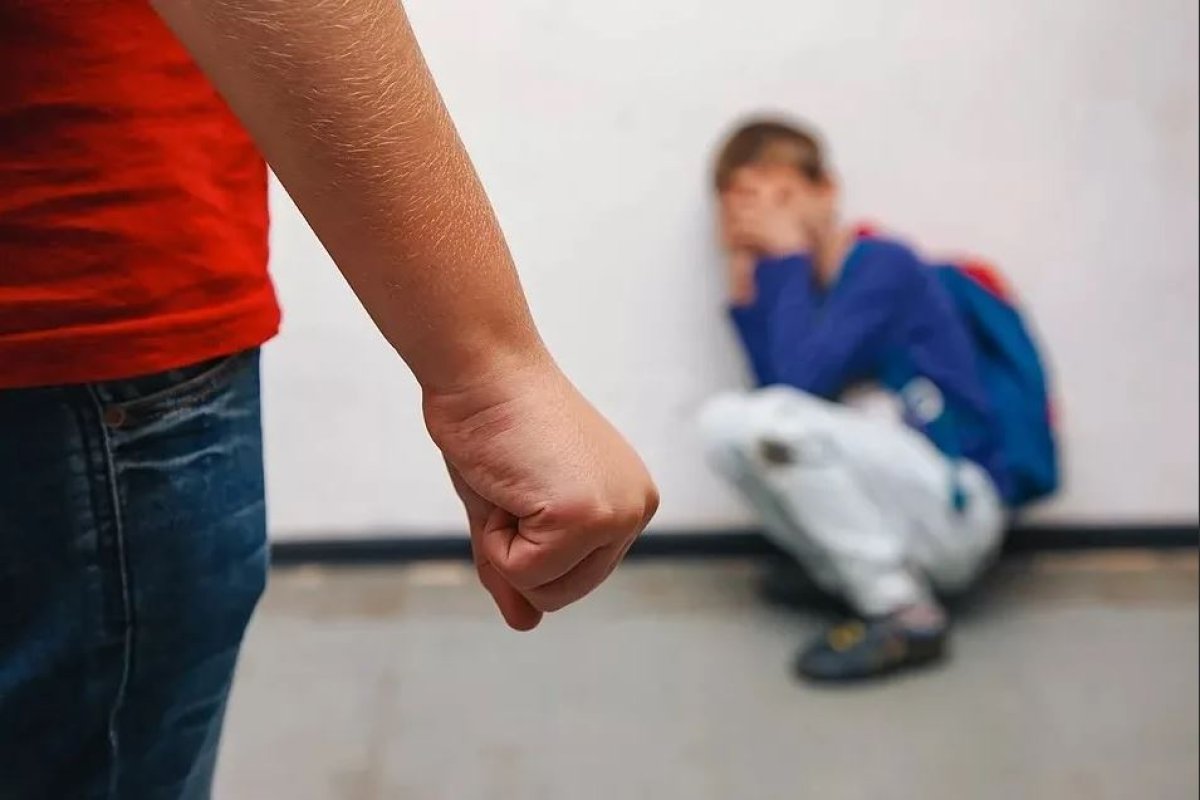 Уголовное дело завели по факту избиения десятиклассника в кушмурунской школе