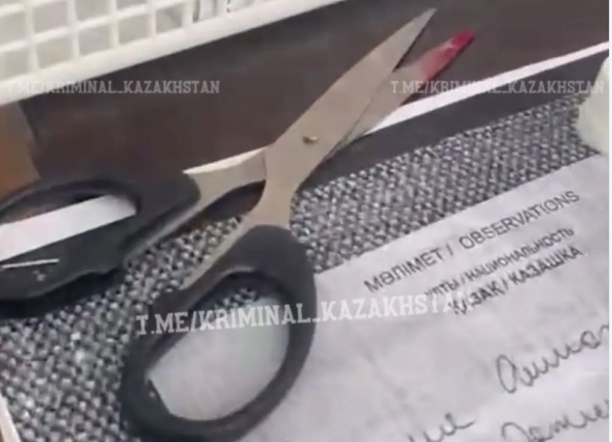 Алматинка воткнула ножницы в голову турагента из-за отказа в получении визы