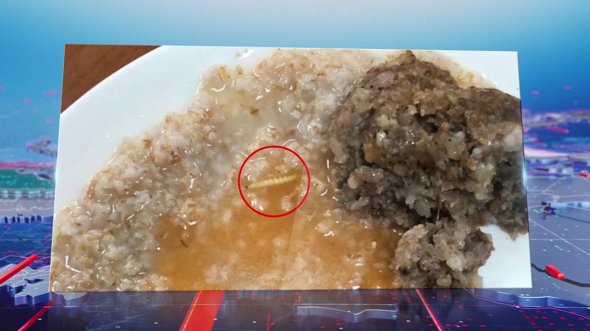 Арендаторы рассказали, откуда взялся червь в школьной столовой Павлодара