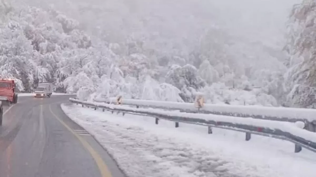 На Шымбулаке выпал снег