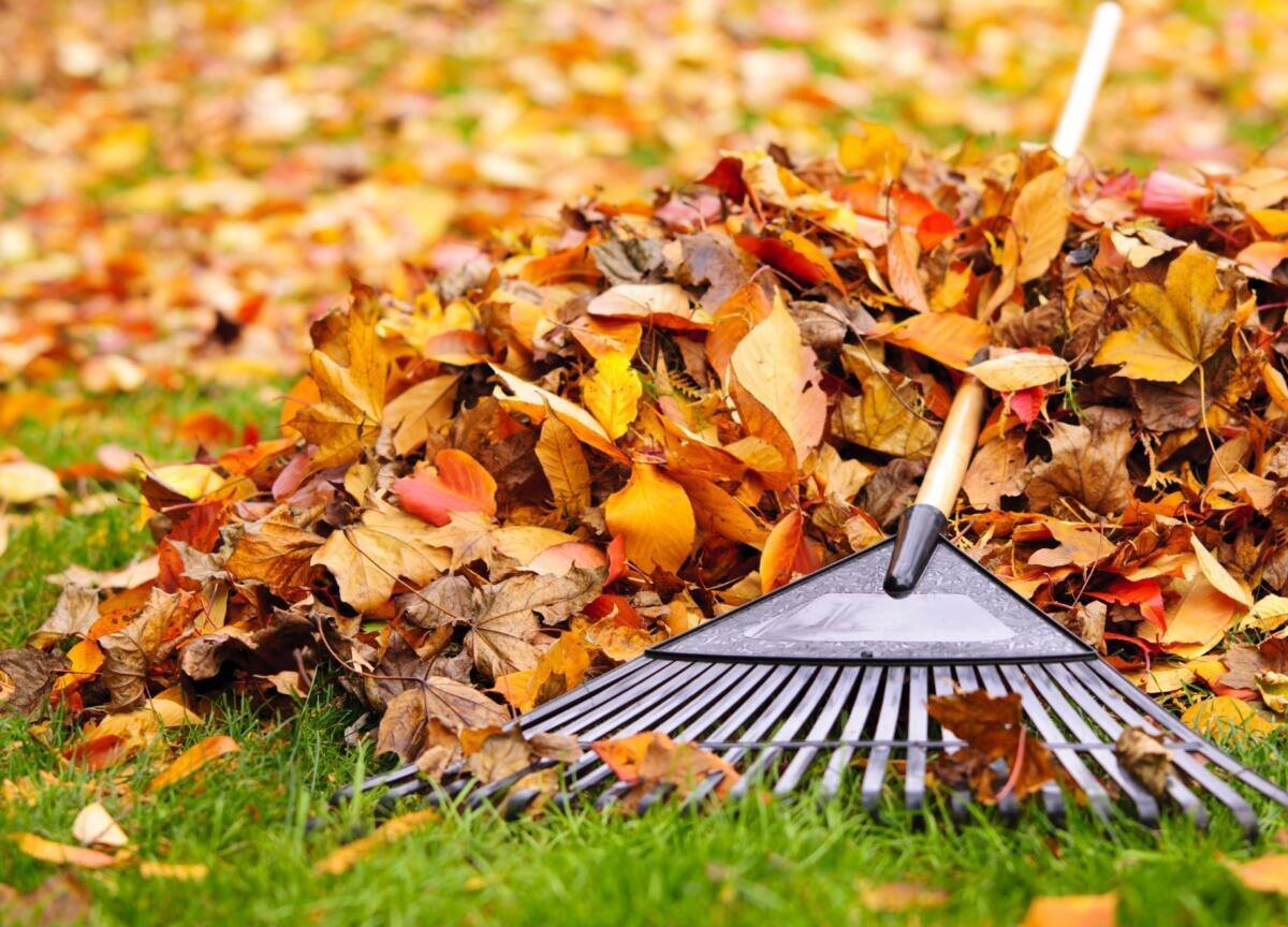 Жажда заработать 200 тенге обернулась для устькаменогорца уборкой городских улиц