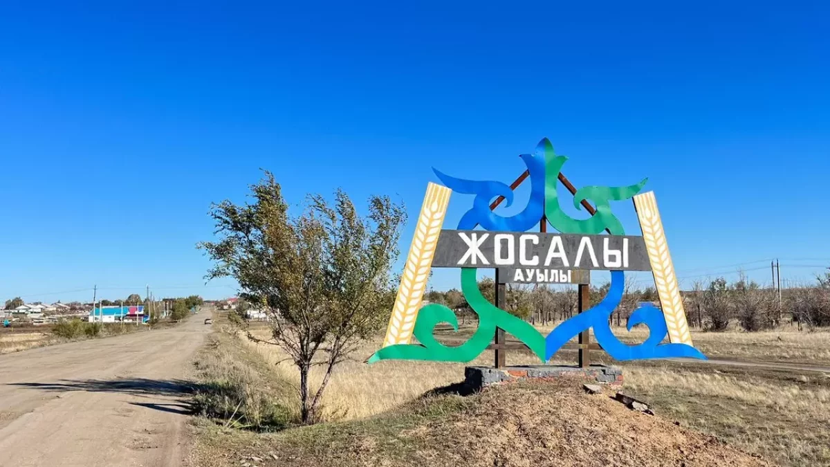 "Бәрі көктемде дүниеге келген": Ақтөбе облысындағы шағын ауылда 14 егіз тұрады