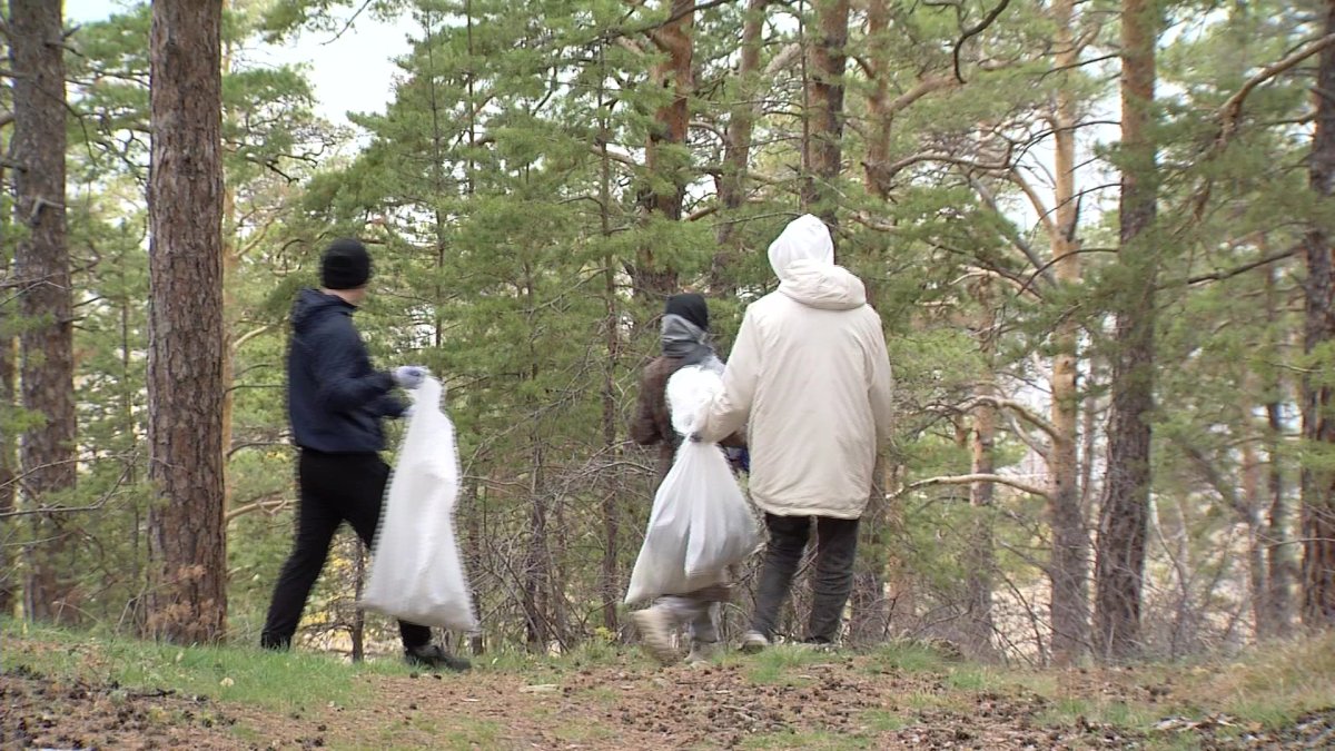 Активисты «Жастар Рухы»  запустили масштабную акцию по сохранению природных и исторических памятников