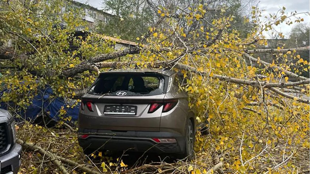 Снесенные крыши и поваленные деревья: последствия урагана показали в ВКО