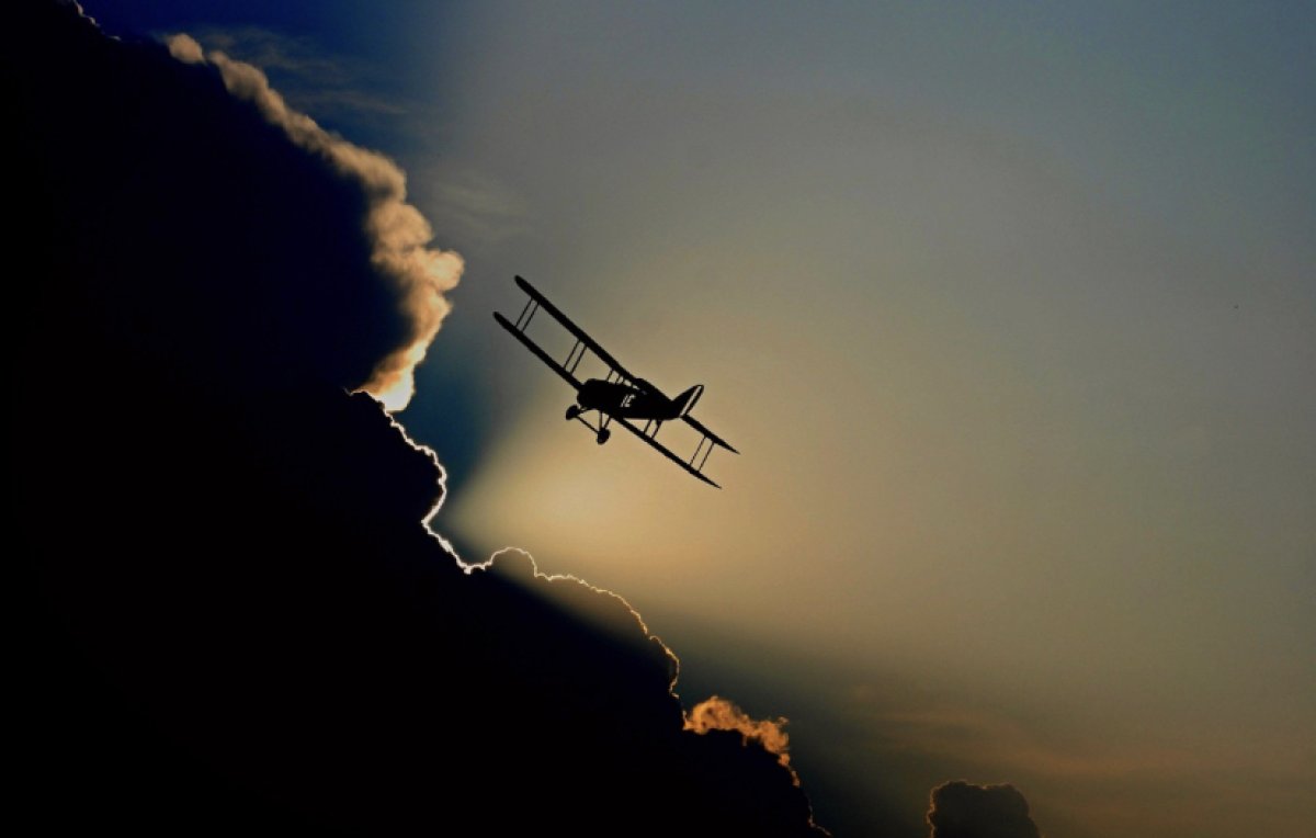 Пилот устроил дебош в небе и пытался отключить двигатели самолета