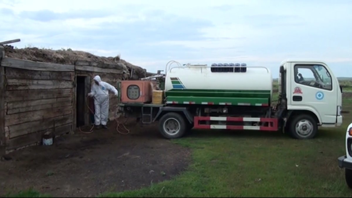 Қарағанды облысының Топар кентінде үш адамнан сібір жарасы анықталды