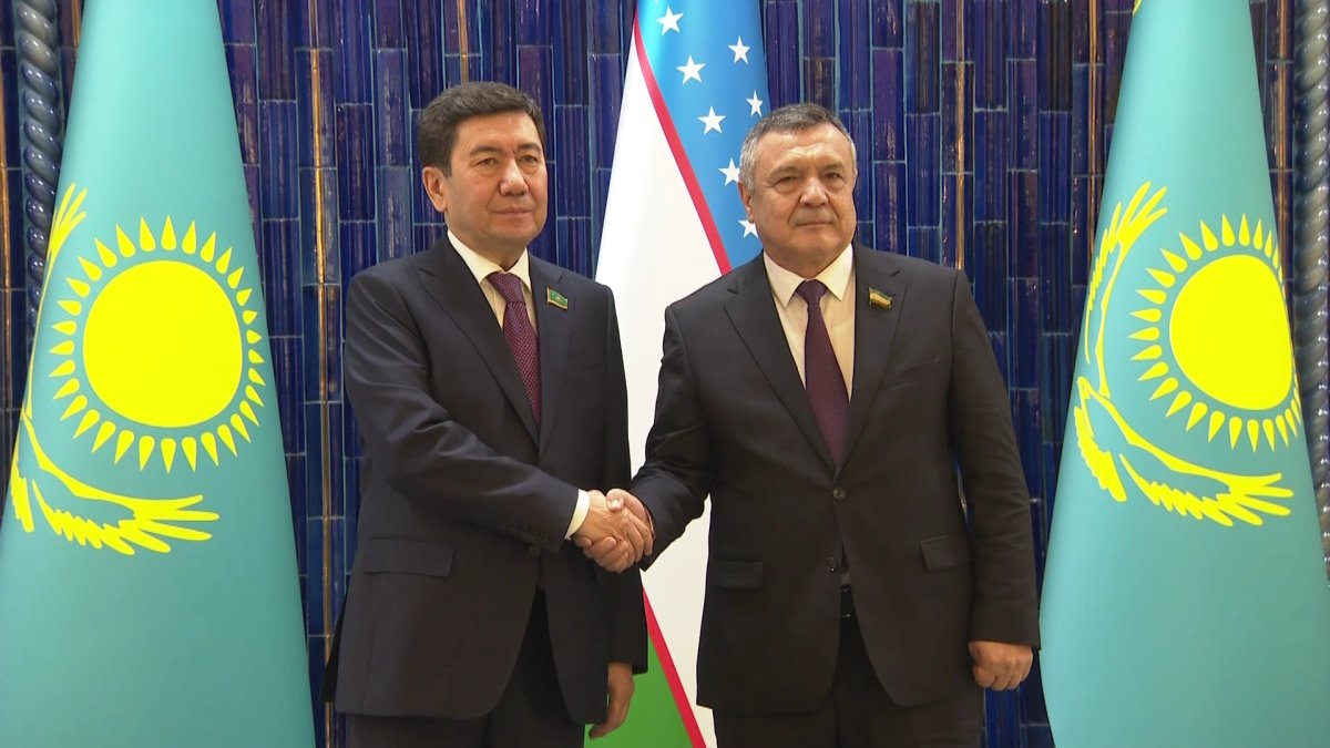 Создание Международного водно-энергетического консорциума  обсудили парламентарии Казахстана и Узбекистана