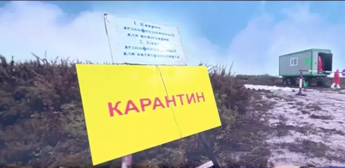 "Ауырған бұзауды сойған". Сібір жарасынан қайтыс болған қарағандылық тұрғын мырыш табытта жерленеді