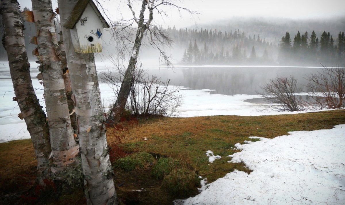 Потепление прогнозируют синоптики в Казахстане