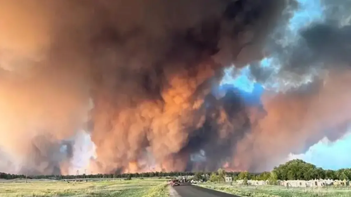 Семей орманшыларының жағдайы қиын, бірақ бюджеттен көмек бере алмаймыз – әкім