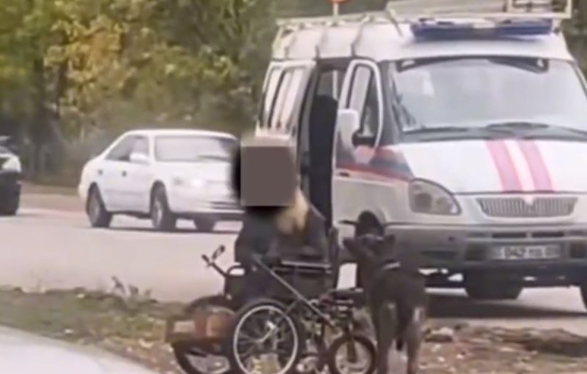 Трогательный случай с собакой показали полицейские Тараза