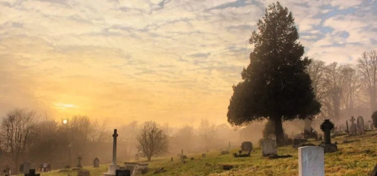 Эко-кладбища набирают популярность в Европе