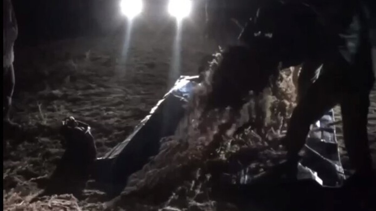 Серп, конь и 66 кг наркотиков: жамбылец планировал отправить рекордную партию марихуаны в Алматы