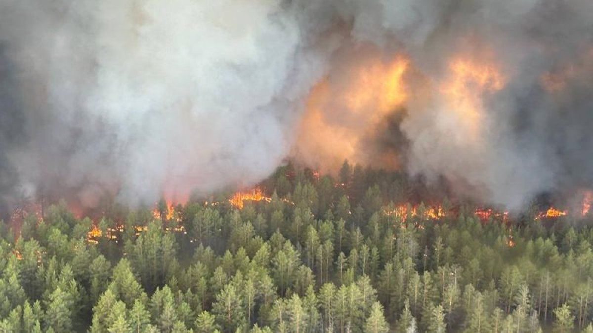 Разряд молнии: генпрокуратура озвучила причину лесного пожара в области Абай