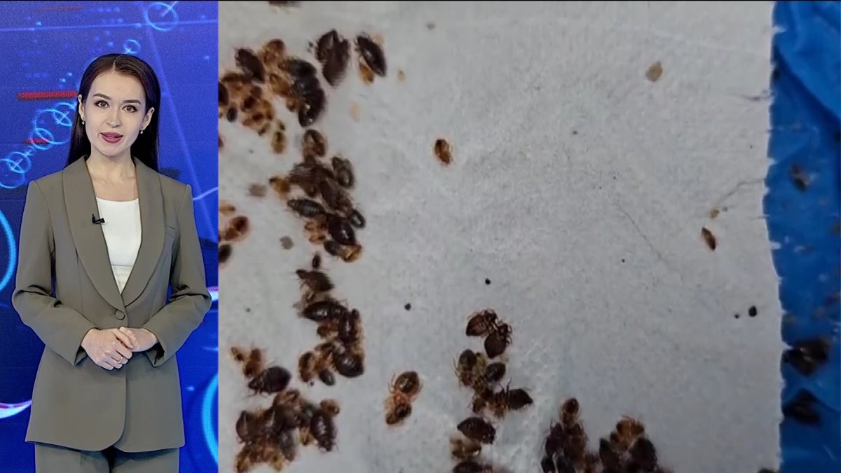 Израиль согласился на ежедневные гуманитарные паузы в секторе Газа