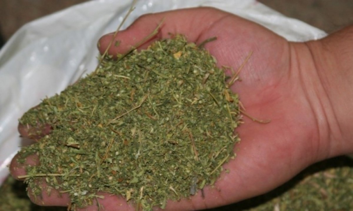 Алпыс жастағы тұрғын есірткі сақтаған