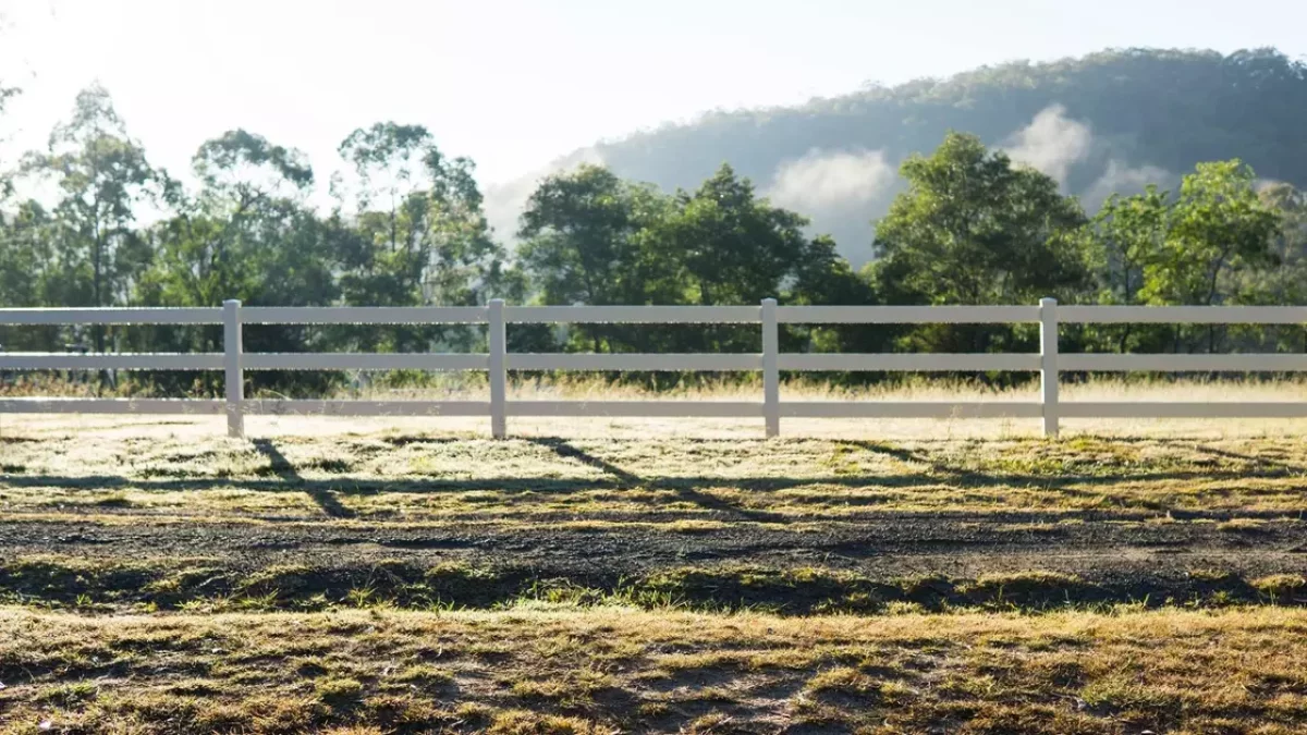 Оралда тұрғын үйлердің бірінен 15 метр қашықта сібір жарасымен ауырғандардың қорымы табылды