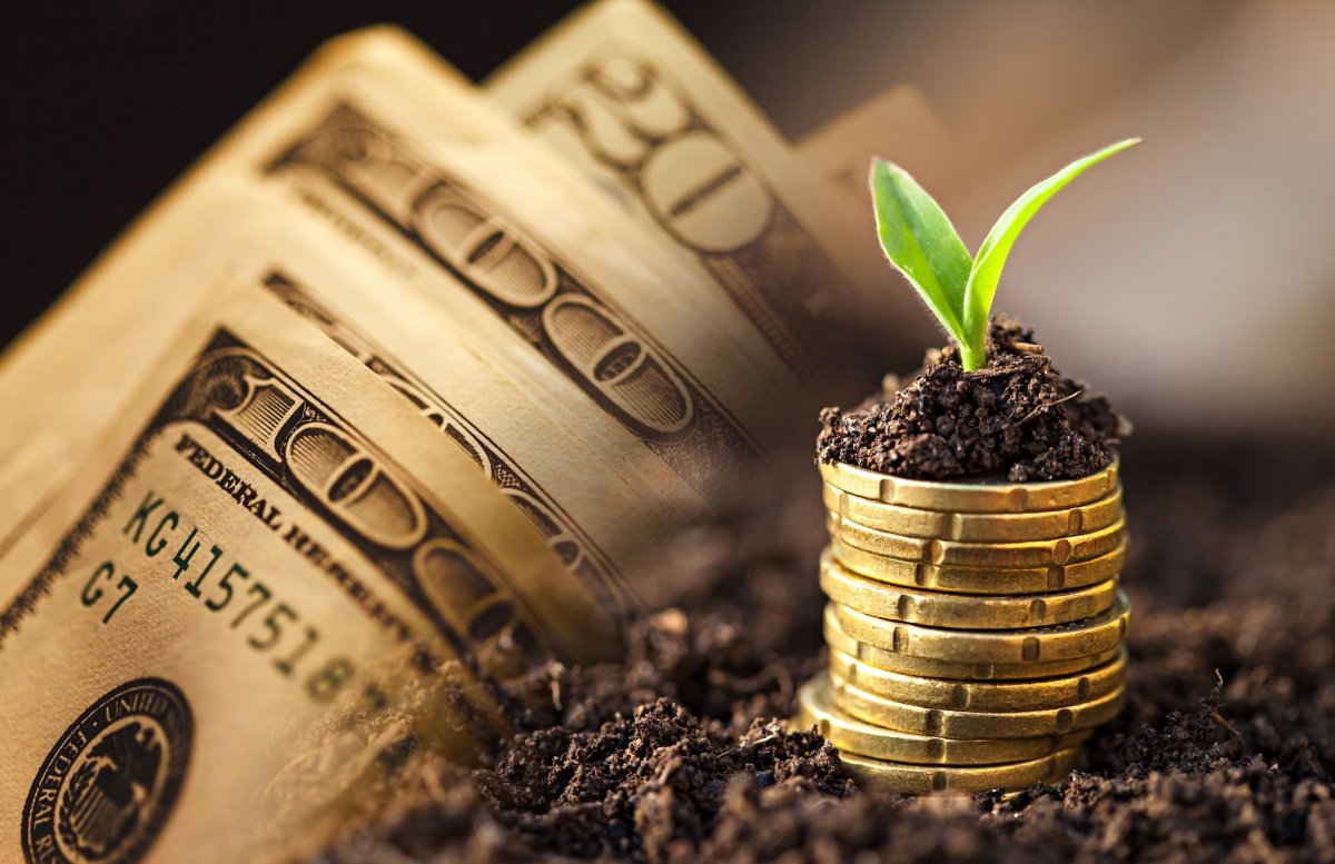 Скорпионам нужен анализ финансов, Рыбы, «не тратьтесь» на переживания: советы звёзд 14 ноября