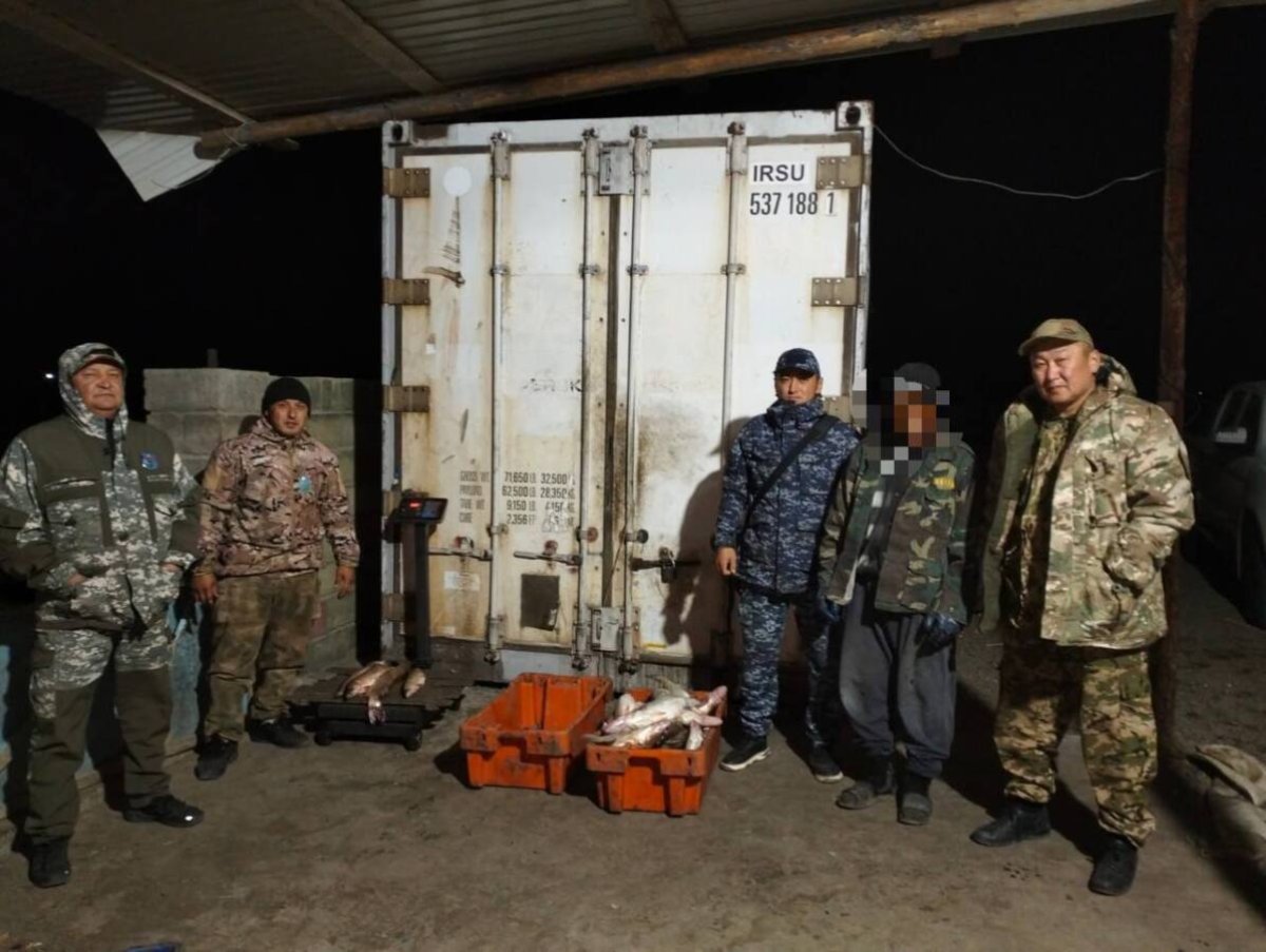 Балық аулаймын деп басы бәлеге қалды