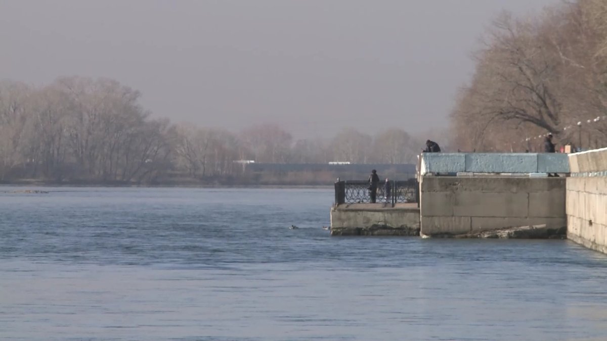 Обмелением Иртыша обеспокоены учёные Восточного Казахстана