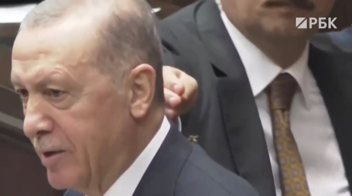 Телохранитель спас Эрдогана от нападения осы