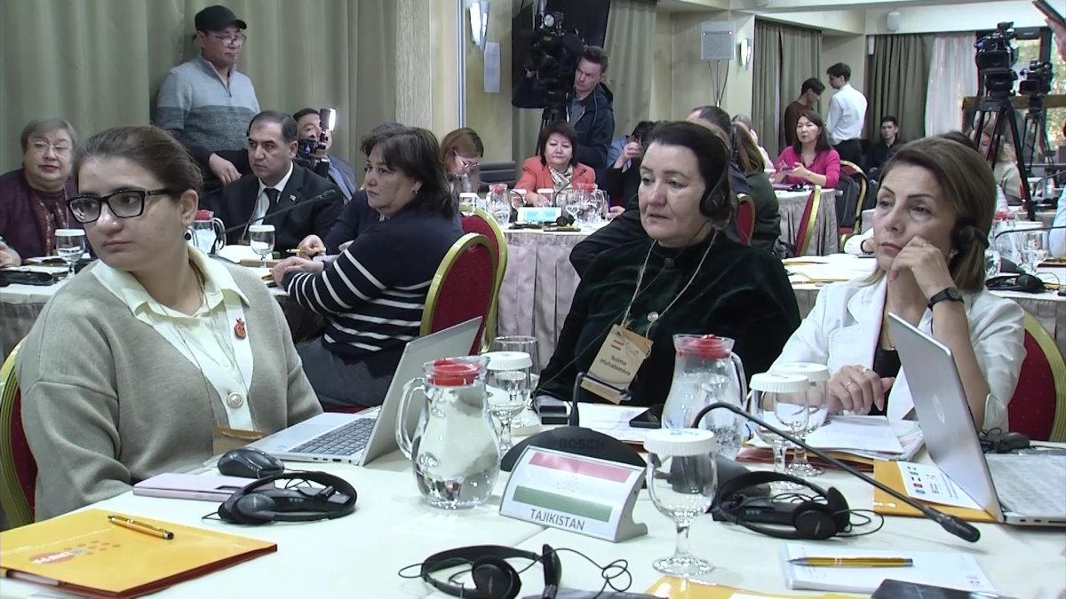 "Қазақстанның гендерлік теңдік және тұрмыстық зорлыққа қарсы тақырыпты қозғағаны қуантады",-халықаралық сарапшы