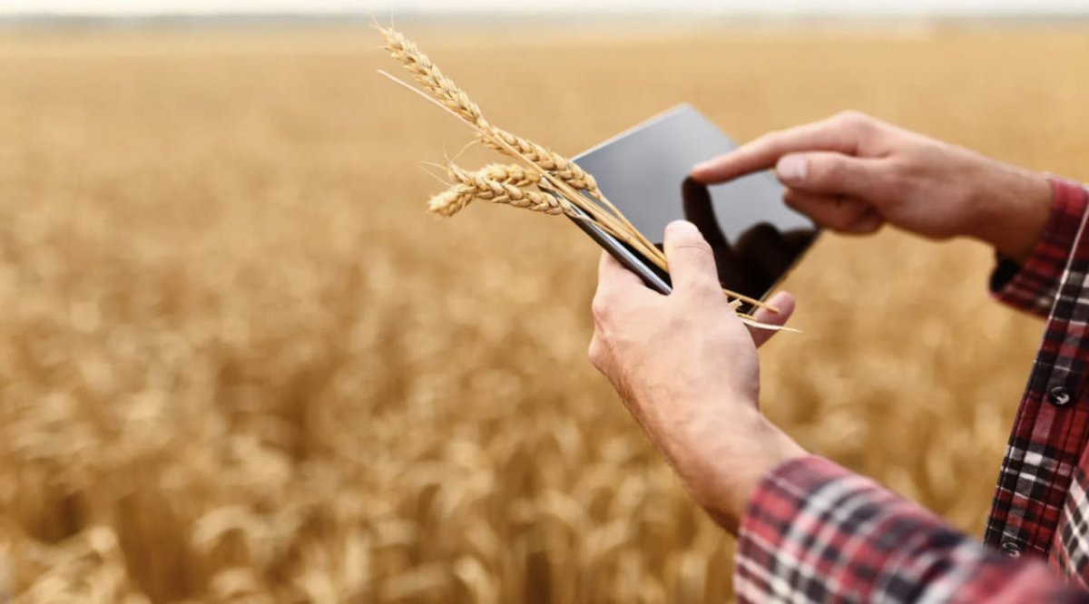 День работников сельского хозяйства отмечают в Казахстане