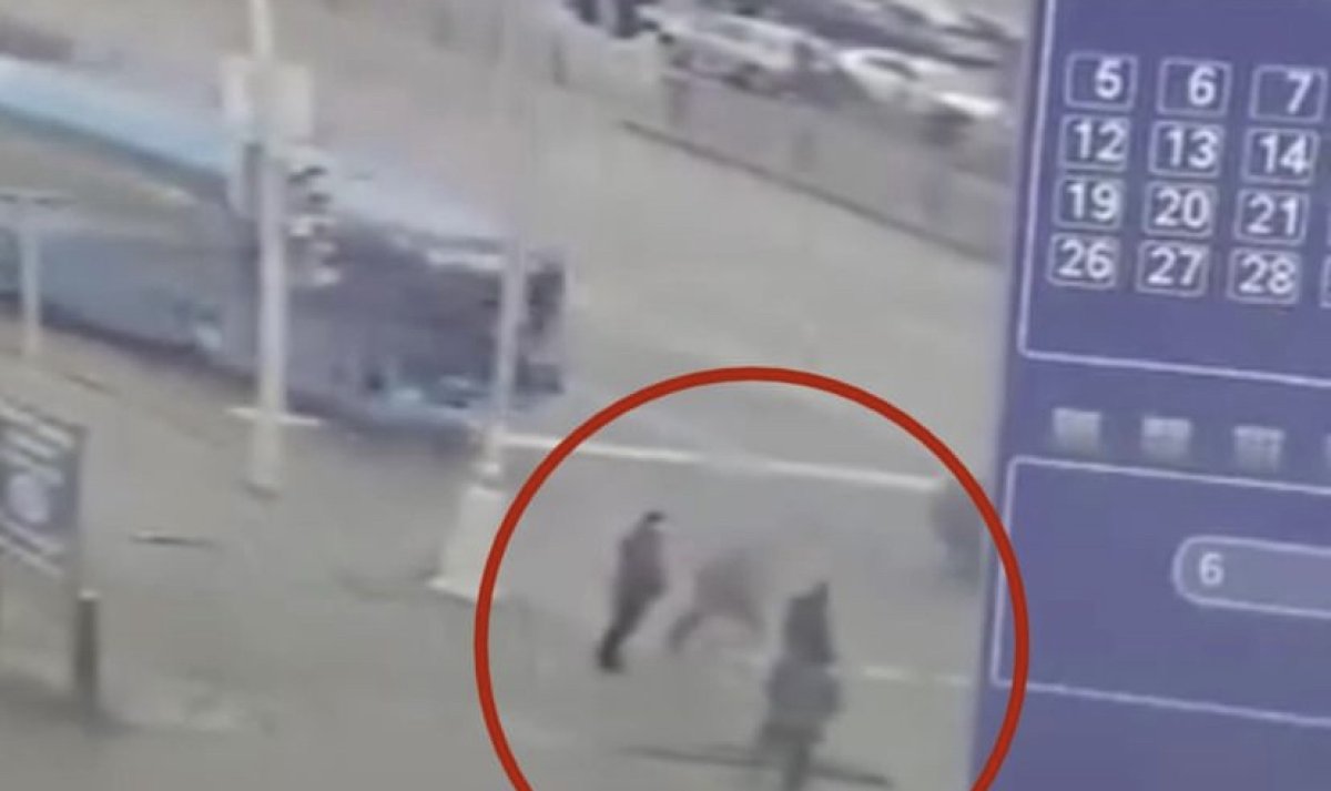 Сам прыгнул под колёса: появились подробности смертельного наезда водителя автобуса на пешехода в Караганде