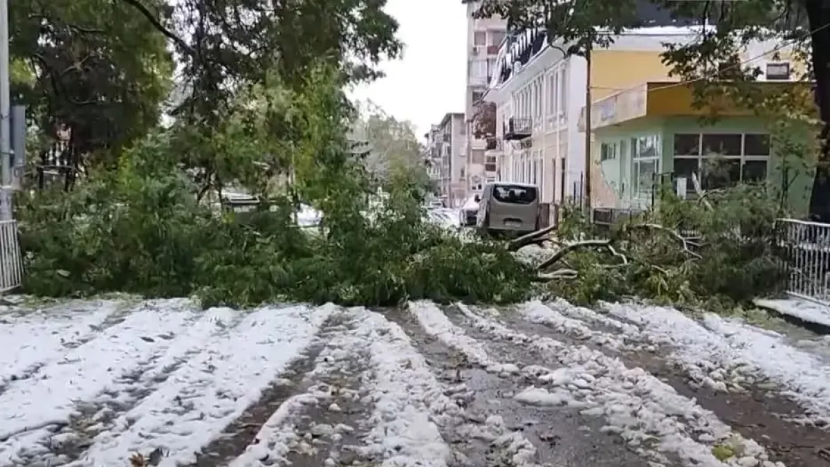 Болгарияда кенеттен күн бұзылып, дауылдан екі адам көз жұмды