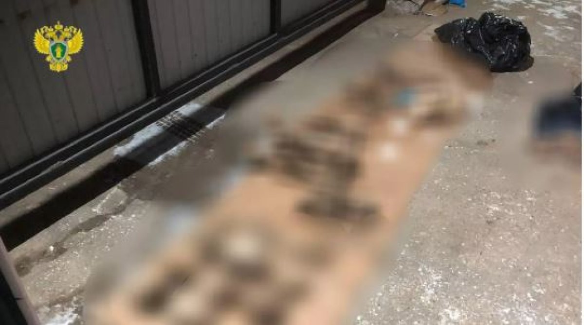 В Москве нашли десяток человеческих черепов, пролежавших в земле 20-30 лет