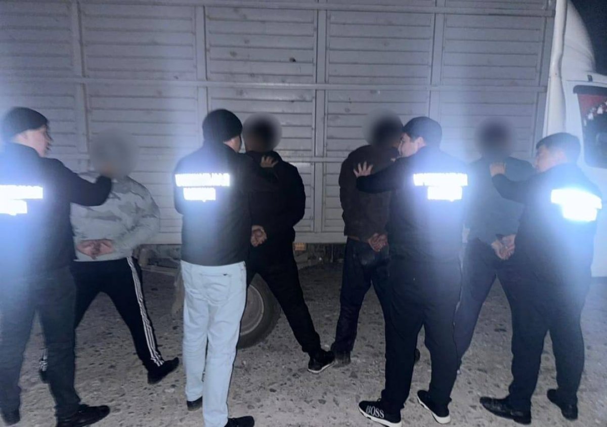 Скот на 10 млн тенге украли в Туркестанской области