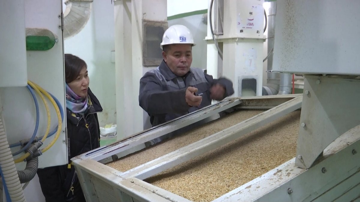 "Балаларыма үнемі еңбек етіңдер, маңдай термен табыңдар деп ақыл айтып отырамын", - жұмысшы