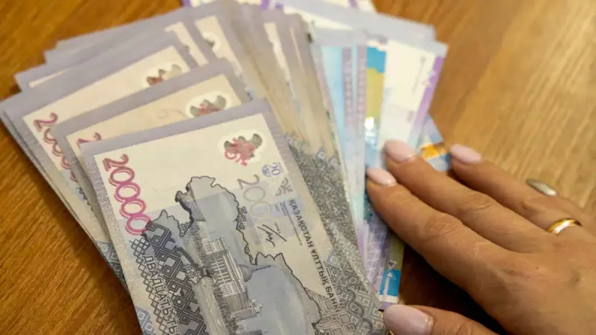 Астаналық жолаушы көліктен 9 млн теңгесі бар сөмкені ұрлап кеткен