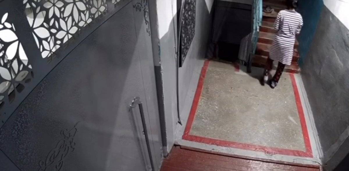 Павлодарская чиновница облила уксусом кошку на лестничной площадке (ВИДЕО)